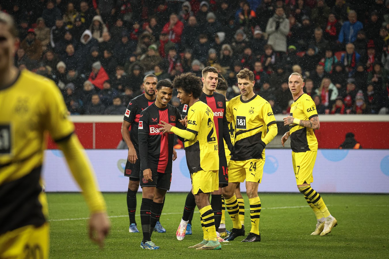 BVB gegen Bayer 04 Leverkusen